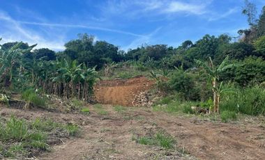 350 SQM Resale lot for sale in Antipolo City  | Brgy.  San Jose Antipolo