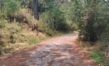 TERRENO EN VENTA DE 500 M2, EN LA COLONIA LOMAS DE TEPEMECATL, TLALPAN