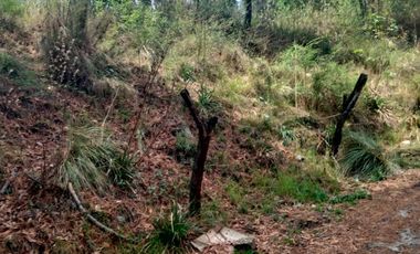 TERRENO EN VENTA DE 500 M2, EN LA COLONIA LOMAS DE TEPEMECATL, TLALPAN