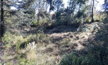 TERRENO EN VENTA DE 500 M2, EN LA COLONIA LOMAS DE TEPEMECATL, TLALPAN