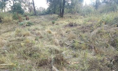 TERRENO EN VENTA DE 500 M2, EN LA COLONIA LOMAS DE TEPEMECATL, TLALPAN