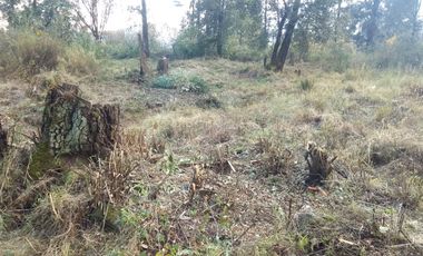 TERRENO EN VENTA DE 500 M2, EN LA COLONIA LOMAS DE TEPEMECATL, TLALPAN