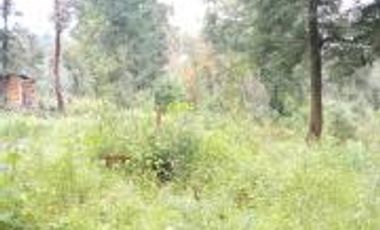 TERRENO EN VENTA DE 500 M2, EN LA COLONIA LOMAS DE TEPEMECATL, TLALPAN