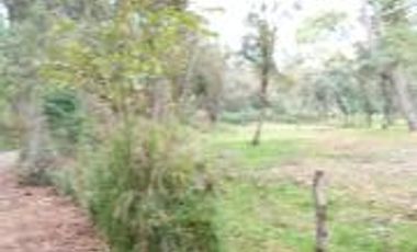 TERRENO EN VENTA DE 500 M2, EN LA COLONIA LOMAS DE TEPEMECATL, TLALPAN