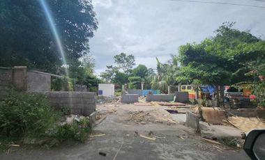 Residential Property for Sale Lot only in Talomo Davao City