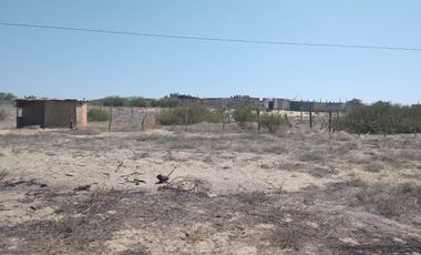 VENTA DE TERRENO - LA MARIPOSA - PIURA.