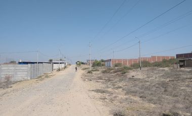 VENTA DE TERRENO - LA MARIPOSA - PIURA.