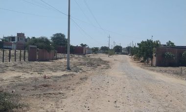 VENTA DE TERRENO - LA MARIPOSA - PIURA.