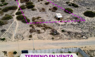 VENTA DE TERRENO - LA MARIPOSA - PIURA.