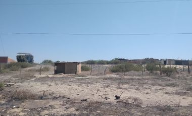 VENTA DE TERRENO - LA MARIPOSA - PIURA.