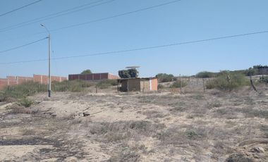 VENTA DE TERRENO - LA MARIPOSA - PIURA.