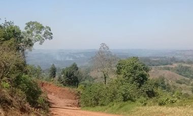 Chacra 20 Ha