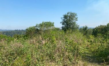 Chacra 20 Ha
