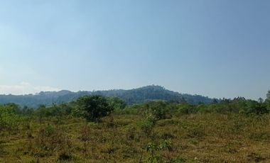 Chacra 20 Ha