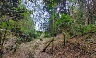 FINCA EN GUARNE