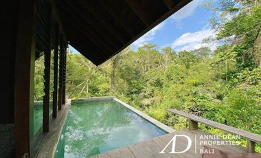FREEHOLD ONE AND TWO-BEDROOM VILLAS IN UBUD