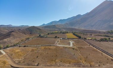 Parcelas con electricidad y agua, sector Mamalluca (Vicuña), 5.000 m2, Valle del Elqui. $85 millones