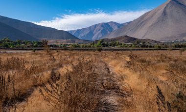 Parcelas con electricidad y agua, sector Mamalluca (Vicuña), 5.000 m2, Valle del Elqui. $85 millones