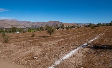 Parcelas con electricidad y agua, sector Mamalluca (Vicuña), 5.000 m2, Valle del Elqui. $85 millones