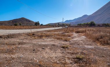 Parcelas con electricidad y agua, sector Mamalluca (Vicuña), 5.000 m2, Valle del Elqui. $85 millones