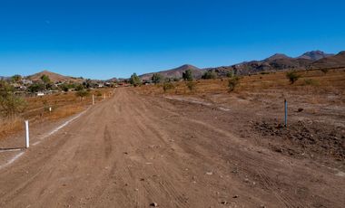 Parcelas con electricidad y agua, sector Mamalluca (Vicuña), 5.000 m2, Valle del Elqui. $85 millones