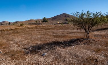 Parcelas con electricidad y agua, sector Mamalluca (Vicuña), 5.000 m2, Valle del Elqui. $85 millones