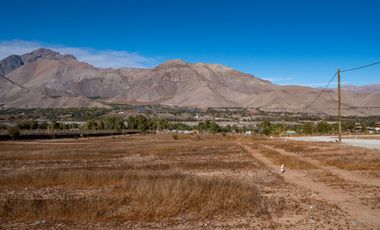 Parcelas con electricidad y agua, sector Mamalluca (Vicuña), 5.000 m2, Valle del Elqui. $85 millones
