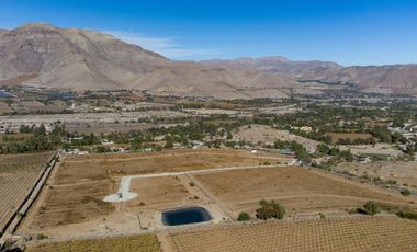 Parcelas con electricidad y agua, sector Mamalluca (Vicuña), 5.000 m2, Valle del Elqui. $85 millones