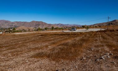 Parcelas con electricidad y agua, sector Mamalluca (Vicuña), 5.000 m2, Valle del Elqui. $85 millones