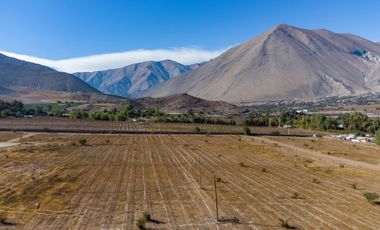Parcelas con electricidad y agua, sector Mamalluca (Vicuña), 5.000 m2, Valle del Elqui. $85 millones