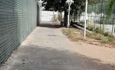 TERRENO EN RENTA EN CD. GRANJA
