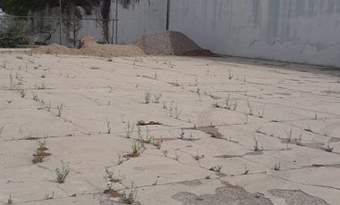 TERRENO EN RENTA EN CD. GRANJA