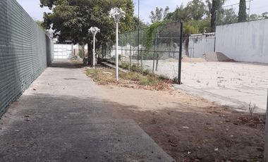 TERRENO EN RENTA EN CD. GRANJA