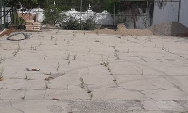 TERRENO EN RENTA EN CD. GRANJA