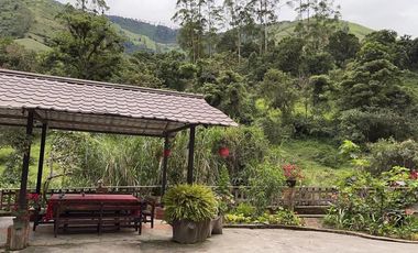 Venta Hacienda Casa De Campo En Pallatanga