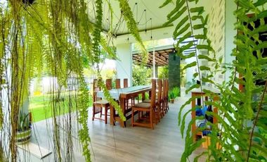 Modern house for Sale / Rent near 89 plaza, Varee international school, city center and Chiang Mai Airport.