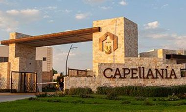 RENTA DE CAA EN CAPELLANIA SALIDA LEON SILAO
