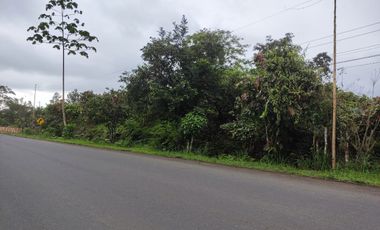 Vendo Finca de 29 Ha en Muisne en 
