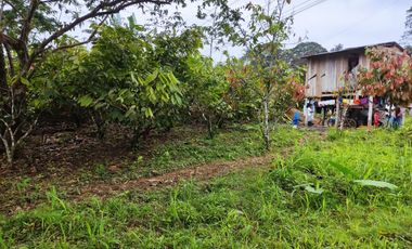 Vendo Finca de 29 Ha en Muisne en 