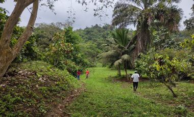 Vendo Finca de 29 Ha en Muisne en 