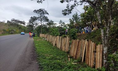 Vendo Finca de 29 Ha en Muisne en 