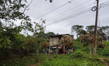 Vendo Finca de 29 Ha en Muisne en 