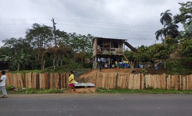 Vendo Finca de 29 Ha en Muisne en 