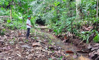 Vendo Finca de 29 Ha en Muisne en 