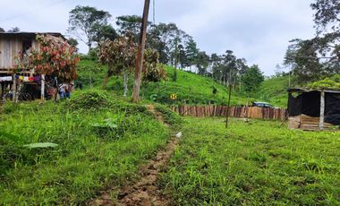 Vendo Finca de 29 Ha en Muisne en 