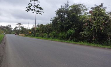 Vendo Finca de 29 Ha en Muisne en 