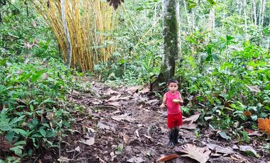 Vendo Finca de 29 Ha en Muisne en 