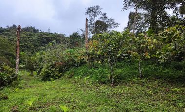 Vendo Finca de 29 Ha en Muisne en 