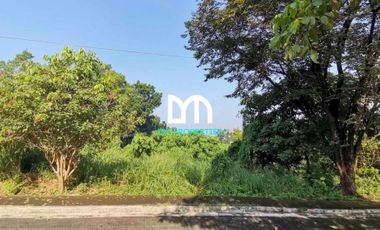 For Sale: Vacant Lot in Town and Country Estates, Antipolo City