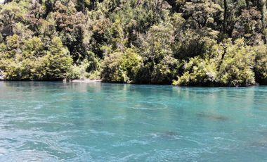 Campo Costa Orilla Río Petrohue